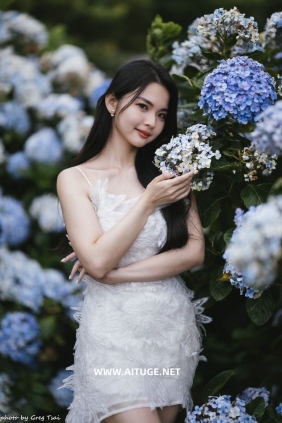 米浆 - 绣球花 [126P-286MB]