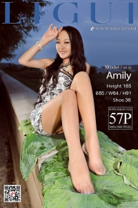 [Ligui丽柜] 2018.01.23 网络丽人 Model Amily [57P]