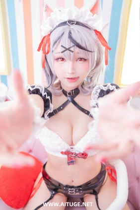 花梨Hanari - 沙花叉克萝伊女仆 [31P-298M]
